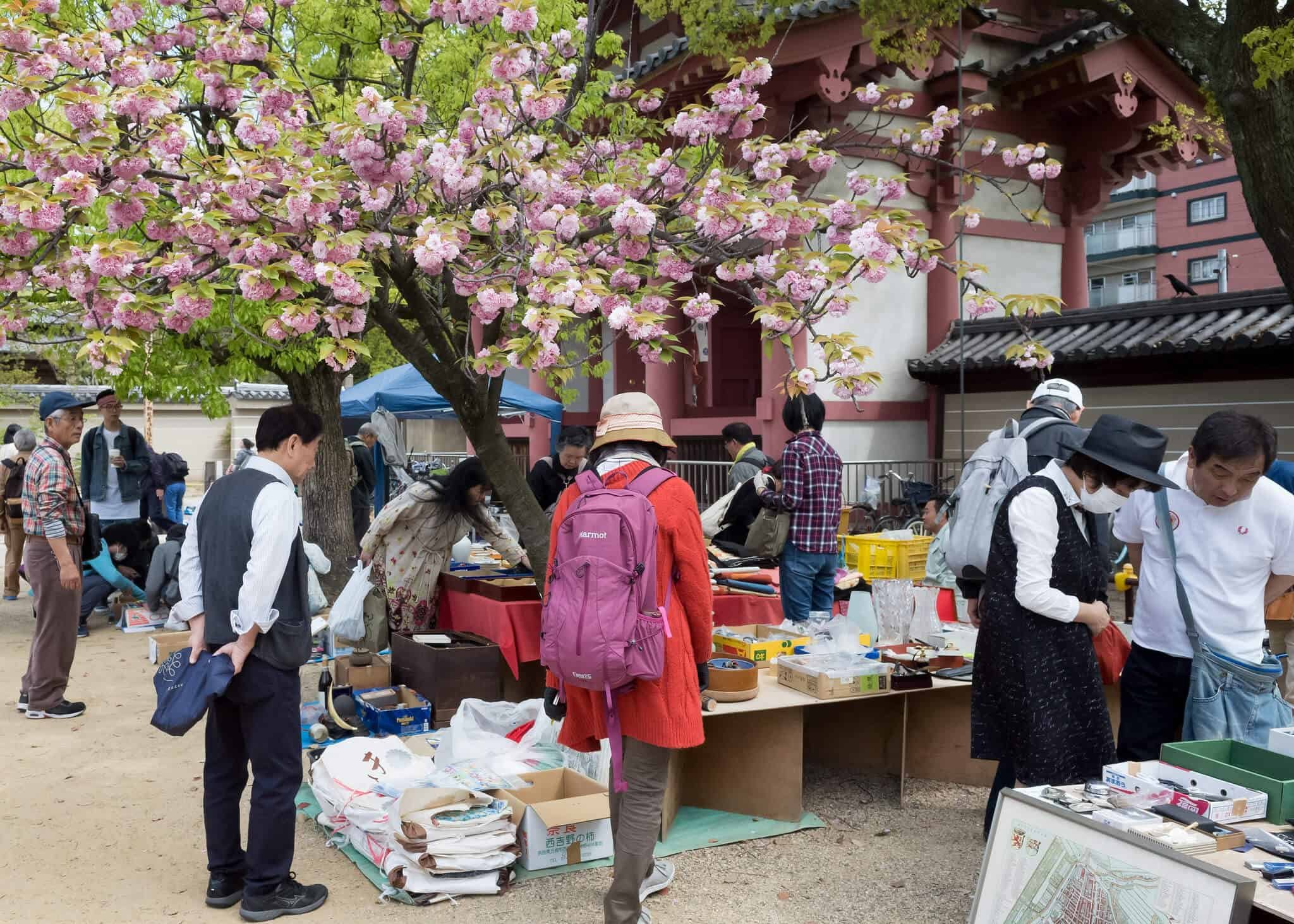 🏞️ 카와고에 공원(카와고에 코엔) 이미지 12